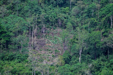 A logged area in Lhoong, Aceh, on March 21, 2024.