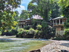 Tangkahan: Between logging and tourism, sustainability hangs in the balance