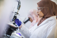 Women in STEM: building progress through collaboration and inclusion