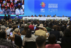 Delegates and participants attend the opening ceremony of the 16th Conference of the Parties (COP16) to the UN Convention on Biological Diversity on Oct. 21, 2024, in Cali, Colombia.