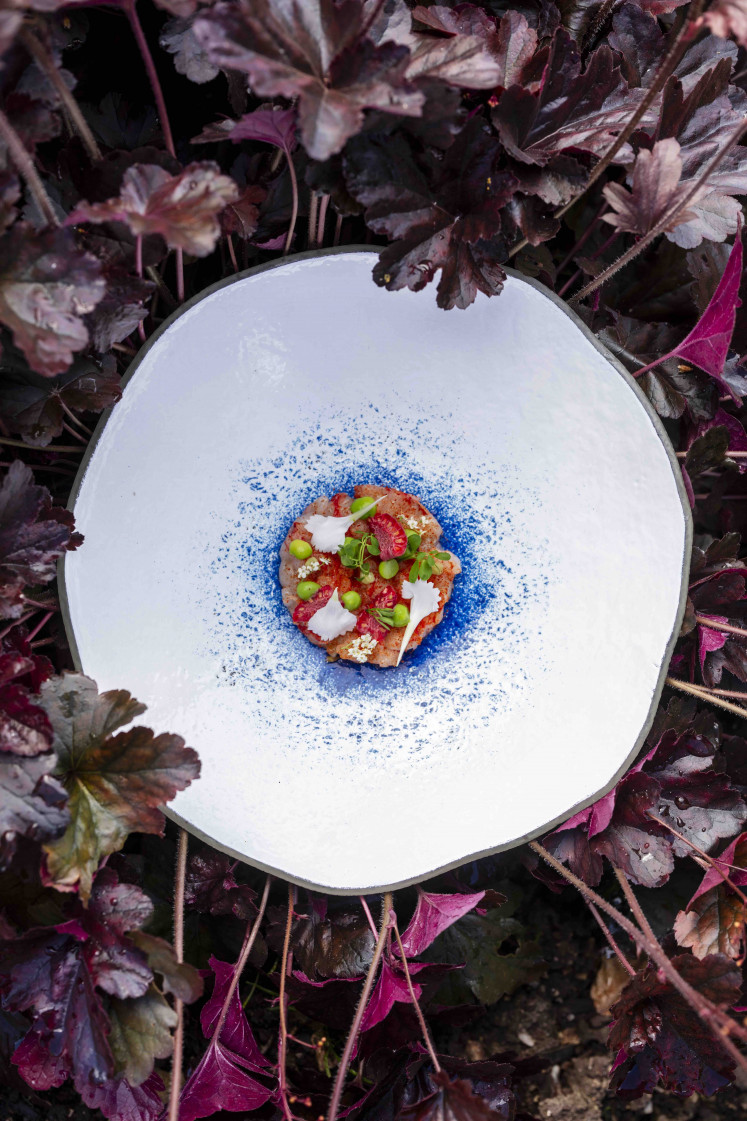 Attention to detail: With its colorful and detailed presentation, this dish reflects the harmony of French technique and creative innovation. (