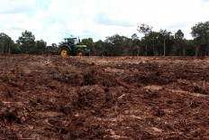 Indonesia's renewable energy plans may put forests at risk