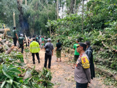 Two foreign visitors killed in tree collapse in Monkey Forest 