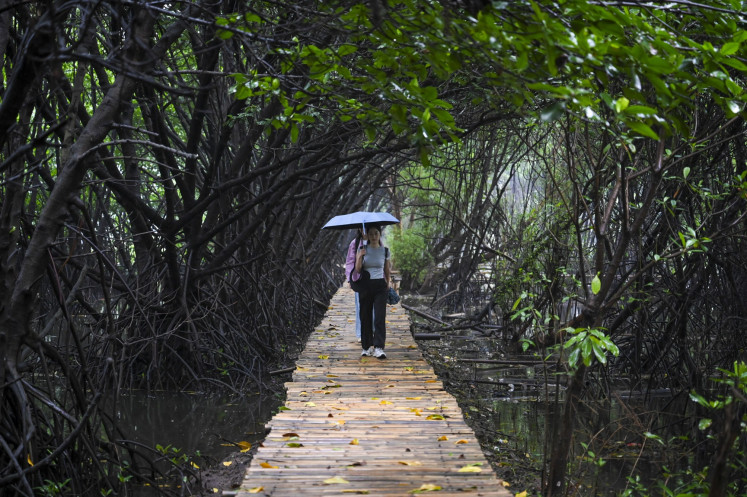 Visitors walk among mangroves at the Angke Kapuk Nature Tourism Park in Jakarta on Dec. 7, 2024.