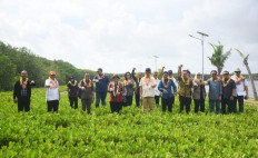 Visit of Commission IV to the Mangrove Area of Ngurah Rai Forest Park (Tahura), Denpasar, Bali.