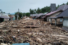 Wooden logs litter the road on Dec. 18, 2024, in Kota Tua village in Tano Tombangan Angkola district, South Tapanuli regency, North Sumatra, after a flash flood. The flash flood injured 10 people. 
