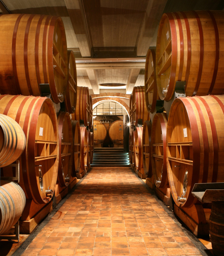 Pio Cesare’s premium wine cellars are a key focus of Federica Boffa’s leadership.