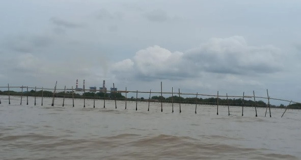 A bamboo fence sprawls along the coast of Tangerang, Banten on Jan. 11, 2024.