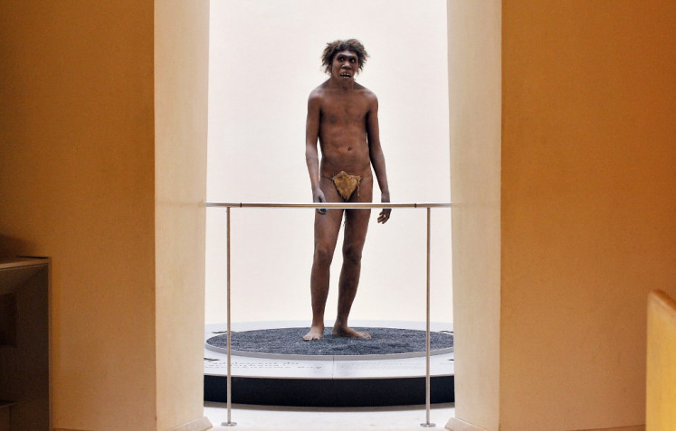 A photo taken on July 2, 2008 in Eyzies-de-Tayac, Dordogne, France shows a model representing a 'Homo egaster' or 'Homo erectus' on display at the National Museum of Prehistory.