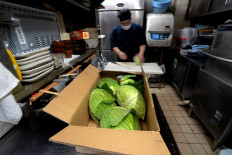 Chef Katsumi Shinagawa prepares shredded cabbage to serve with pork cutlet dishes at the restaurant Katsukichi in Tokyo on Jan. 21, 2025. The 2024 record summer heat and heavy rain ruined crops, driving up the cost of the usually inexpensive leafy green in what Japanese media has dubbed a “cabbage shock“.