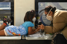 Fighting brain rot must begin now