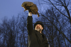 Groundhog handler AJ Dereume holds Punxsutawney Phil after he did not see his shadow predicting an early Spring during the 138th annual Groundhog Day festivities on Feb. 2, 2024 in Punxsutawney, Pennsylvania, the United States. Groundhog Day is a popular tradition in the United States and Canada with over 40,000 people spent a night of revelry awaiting the sunrise and the groundhog's exit from his winter den. If Punxsutawney Phil sees his shadow he regards it as an omen of six more weeks of bad weather and returns to his den. Early spring arrives if he does not see his shadow, causing Phil to remain above ground.
