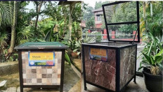 Black soldier fly larvae help turn trash into nutrient-rich compost