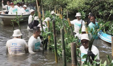 Participants plant mangrove trees in Pemogan village, South Denpasar, Bali, during an environmental event on Feb. 14, 2025. Mangrove trees play an important thing in mitigating climate change in coastal areas.  