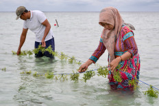 Resident Sartono and his wife Asmania check their seaweed garden on Feb 23, 2023, in the waters of Pari island in the Thousand Islands cluster, Jakarta.