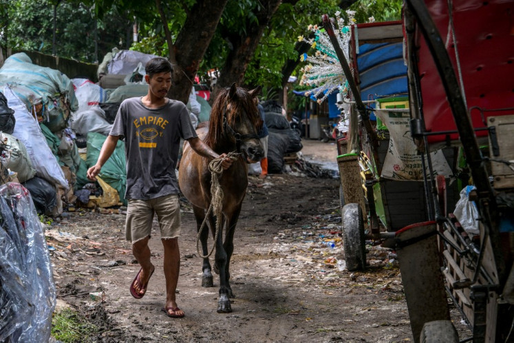 A delman (horse-drawn carriage) driver brings his horse to be cleaned in a vacant lot used as a horse stable and carriage parking lot in Jakarta on Jan. 10, 2025. To the eye of a tourist, the delman can appear as a colourful addition to the city, adorned by decorations and small bells that tinkle when the horse moves. But some owners still rely on harmful traditional medications, including puncturing the horse's muscles with bamboo sticks to pass a rope through to “cleanse“ its blood.