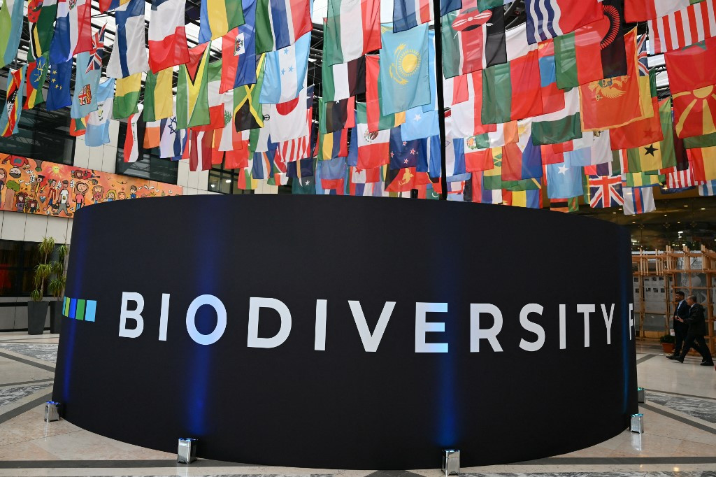 UN nature talks unlock $200 billion deal for conservation - Environment - The Jakarta Post