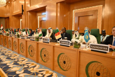 Heavy task ahead as OIC pushes for UN peacekeeping mandate in Gaza