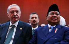 For humanitarian reasons only