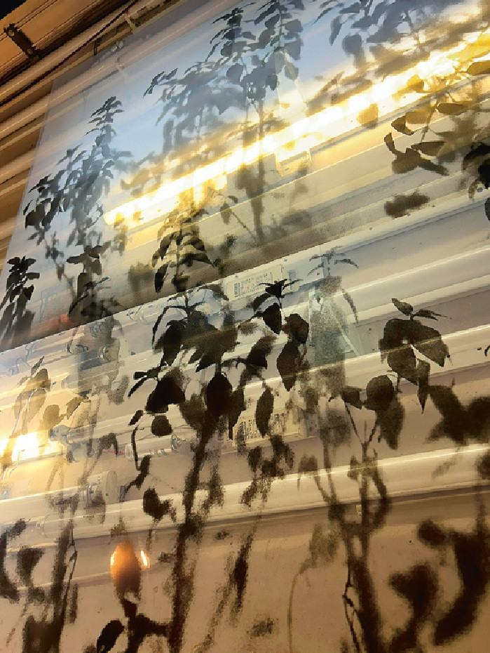 Fatma Abdulhadi's I Wish You in Heaven combines silkscreen prints on mesh, basil-based ink, and a wooden structure.