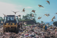 White storks fly away on April 14, 2025, from a heavy machine at the TPAS Puuwatu landfill in Kendari, Southeast Sulawesi. The Kendari Environment and Forestry Ministry has recorded that as of the first quarter of 2025, the volume of trash produced in the city reached 243 tonnes per day, an increase from the 210 tonnes per day recorded in the same period of last year.