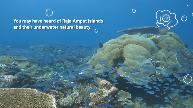 Aquatic tone: A video accompaniment to the natural sound album, 'Life Music', by Suara Alam Nusantara is seen in this screen capture from a video uploaded to the Yayasan Konservasi Alam Nusantara official YouTube account. YouTube/Yayasan Konservasi Alam Nusantara