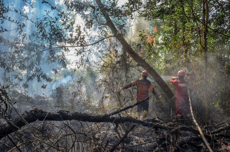 Firefighters battle a peatland fire on July 27, 2023, in Pekanbaru, Riau.
