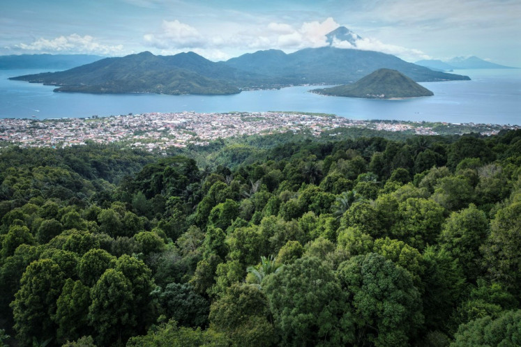 This photo taken on April 11, 2025 shows an aerial view of a forest area with clove trees in Ternate, North Maluku. 