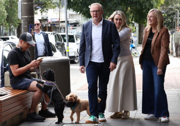 Albanese basks in win, vows 'orderly' government