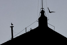 Vatican conclave to pick new pope, world waits for white smoke