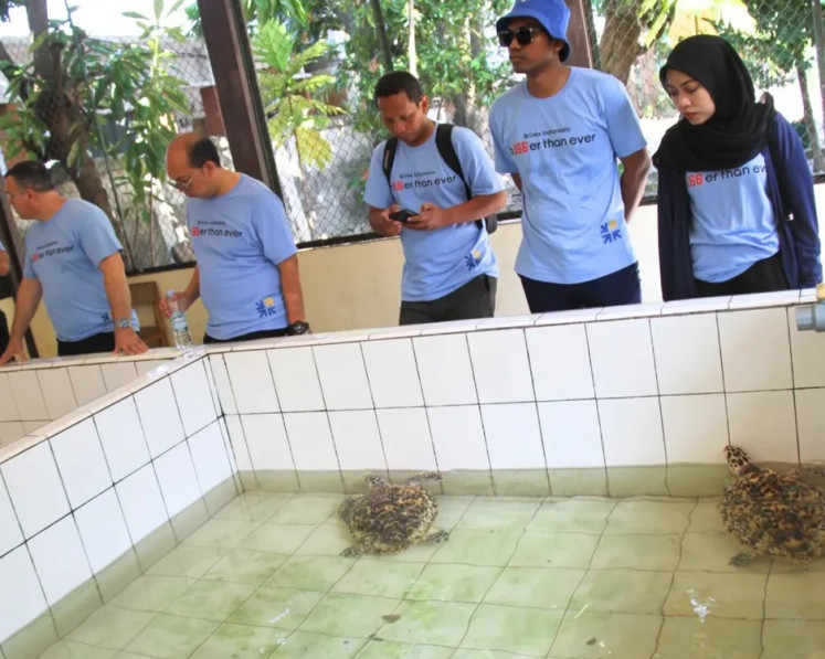 Participants of an environmental education trip learn about the hawksbill sea turtle conservation efforts on May 6, 2025, at Pramuka Island National Park in Pramuka Island, Thousand Islands regency. 