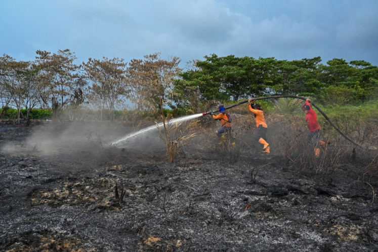 High-risk zone: Members of the National Disaster Mitigation Agency (BNPB) work on Feb. 15 at the scene of a fire at a peatland forest converted into oil palm plantations in Meulaboh, Aceh.