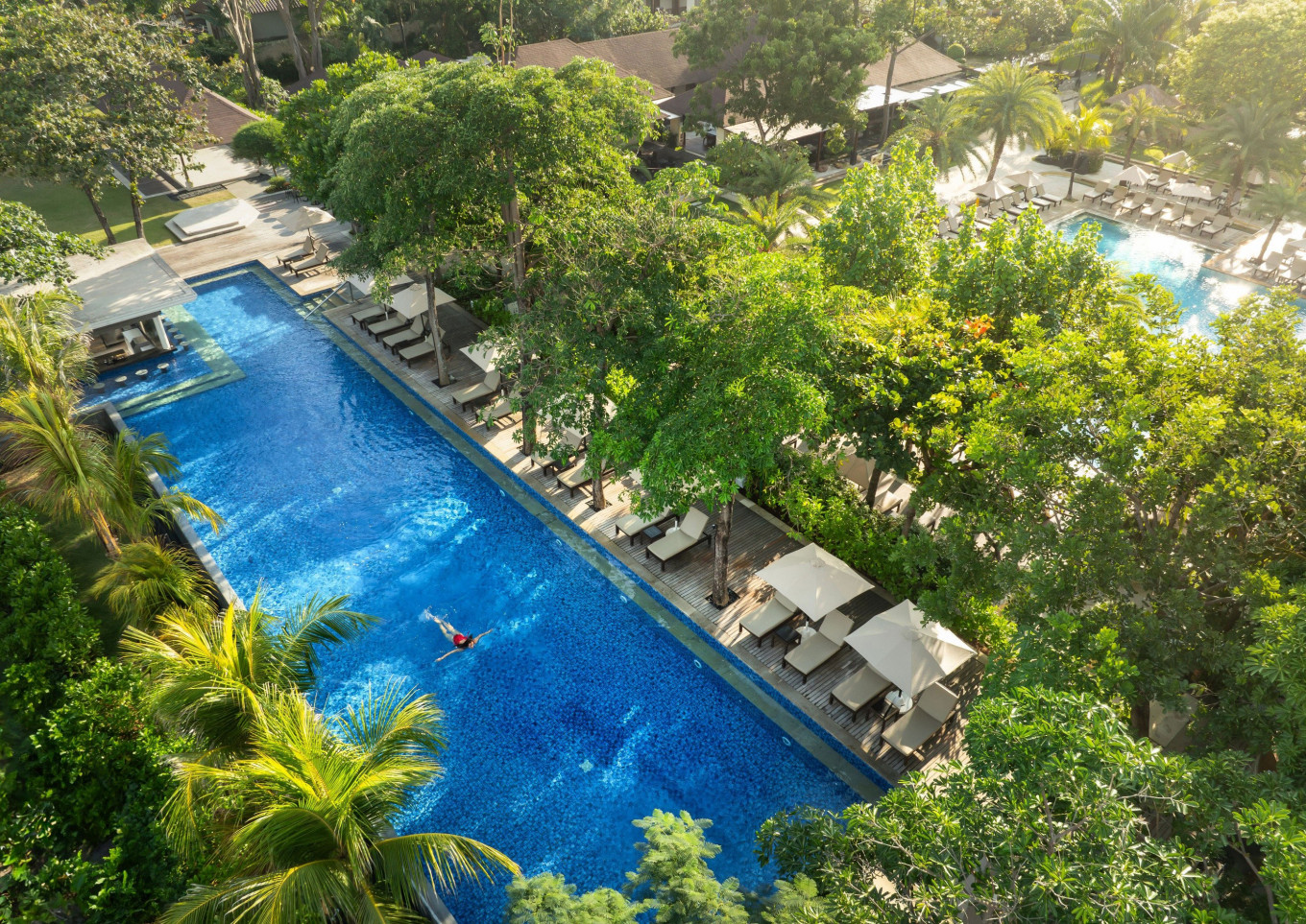 TripAdvisor Honors Padma Resort Legian sebagai favorit sepanjang masa – pengiriman cepat