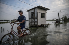 Pushing through: A resident of Gebangarum Village in Demak Regency, Central Java, pedals his bicycle through the floodwaters on May 21. Flooding struck Demak Regency on May 18 after heavy rain caused the Tuntang River to overflow, affecting more than 11,600 people.