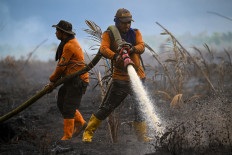 Call grows for bolder climate action at Indonesia Net-Zero Summit