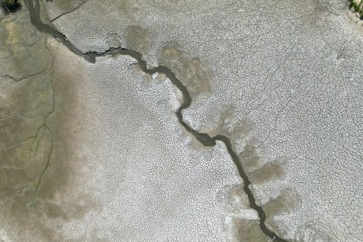 This aerial photograph taken on May 14 shows an almost dry pond near Oud-Heverlee, Belgium.
