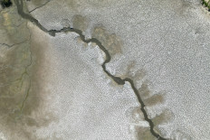 What’s eating Europe’s food system?