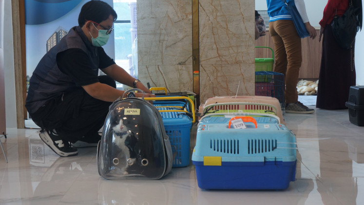 Get in line: A Jakarta officer lines up cats to take turns undergoing free neutering surgery held by the South Jakarta Food Security, Maritime and Agriculture Sub-agency in Tebet, South Jakarta on May 28, 2025. The city administration set a target of neutering 22,000 cats this year to control the feline population.