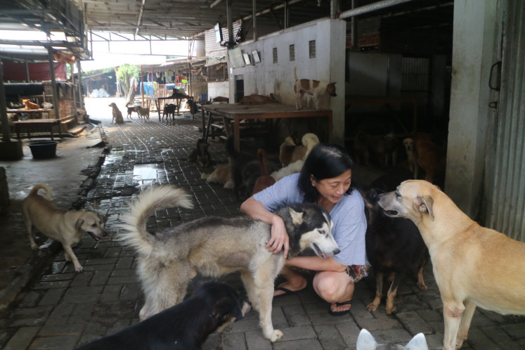 This photo, taken on July 2, shows Susana Somali playing with rescued dogs at the Pejaten Shelter in South Jakarta. Founded by Susana in August 2009, the shelter now houses around 600 dogs.