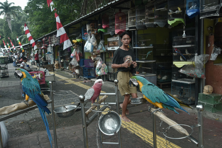 Market migration: A vendor passes by a number of birds for sale on July 2 at Barito Market in South Jakarta. The Jakarta administration will relocate the market to make way for the “unification“ of three parks, namely Ayodya Park, Langsat Park and Leuser Park, to support a larger ASEAN-themed park in the area.