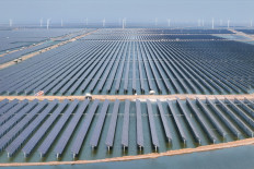 China speeds up renewables building spree: Report