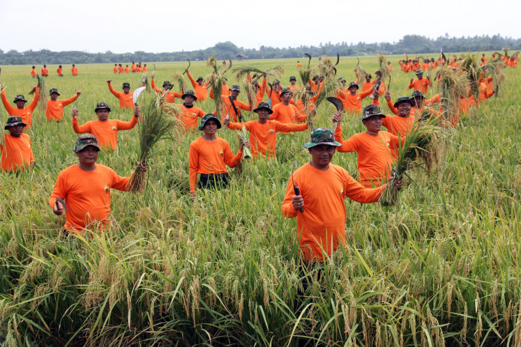 Indonesian Military (TNI) soldiers harvest rice under the command of Gen. Agus Subiyanto in Deli Serdang regency, North Sumatra, on July 10.