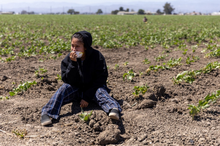 A woman sits in a crop field after US Customs and Border Protection officers deploy chemical agents, likely tear gas, on a group of protesters during a federal immigration raid at Glass House Farms in Camarillo, California, July 10, 2025. 