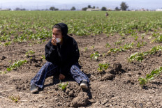 Farm worker dies after US immigration raid in California