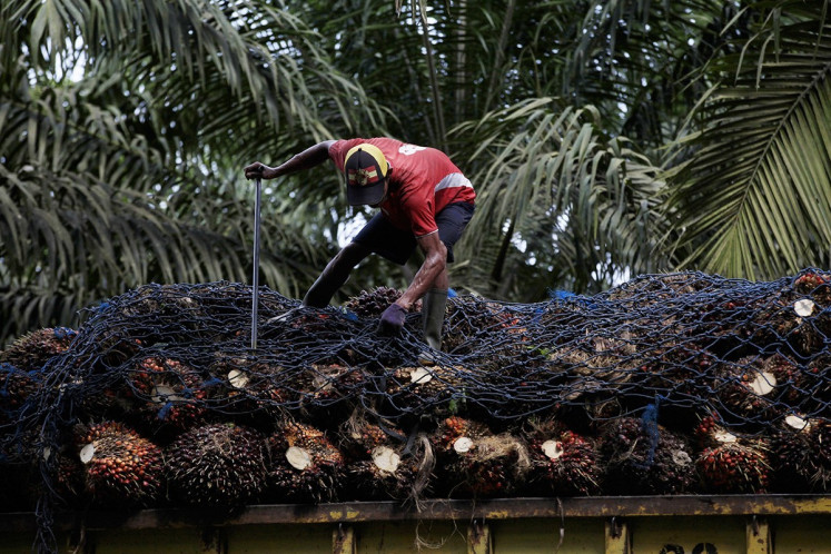 A worker arranges fruit on a truck at a palm oil plantation in Pangkalan Bun, Central Kalimantan 