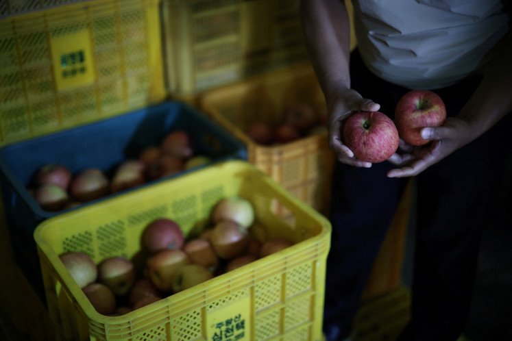An apple farmer Shim Chun-taek checks apples stored at a low temperature warehouse in Cheongsong, South Korea, July 15, 2025.
