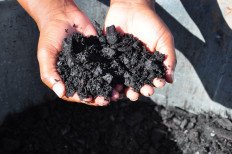 Biochar,  a material produced by heating organic biomass in an environment with limited or no oxygen, a process also known as pyrolysis is pictured in this file photo.
