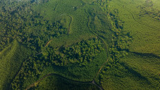 SFMP 2.0: Tracking a decade of sustainability in action