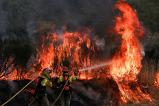 Firefighters work to battle a wildfire in the village of Parafita, Galicia region, Spain on August 12, 2025.