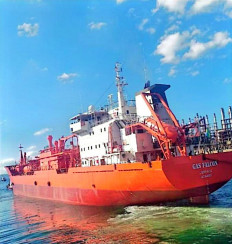 Dire circumstances: The liquiefied petroleum gas (LPG) tanker Gas Falcon is seen in this undated picture at an unknown location. Nine Indonesian and three Pakistani crew members have been abandoned for 10 months off the coast of Mozambique.